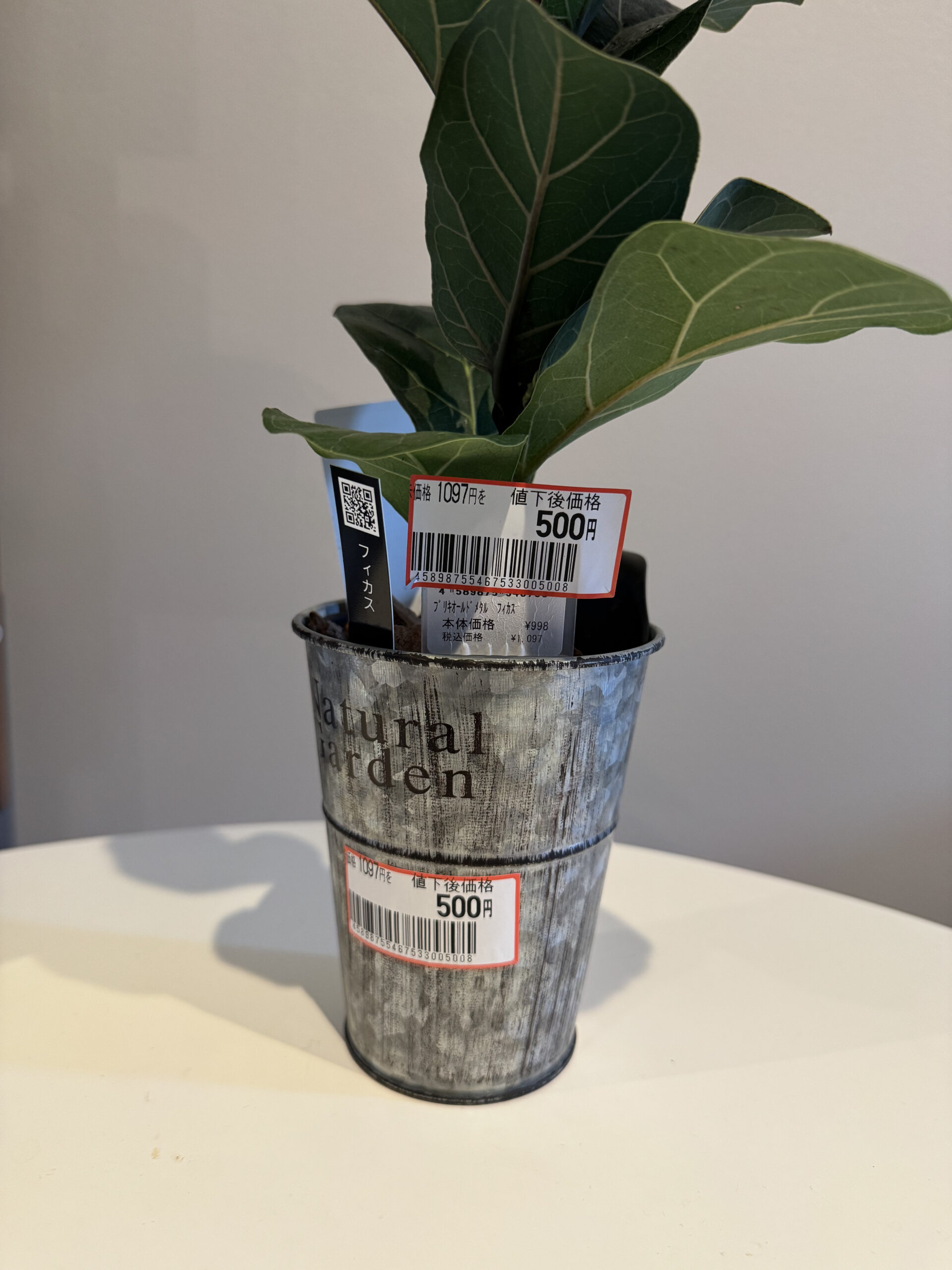 見切り品のカシワバゴム